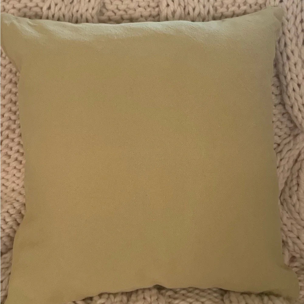 Pottery Barn Light Green Pillow Covers 18” Inserts not included